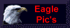Eagle Pics Page 1