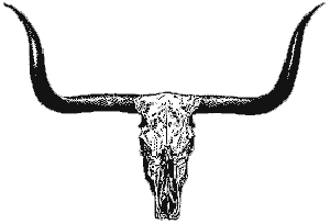 Texas Longhorn sport cattle and heifer bulls, Brangus cross commercial cattle, stocker calves.