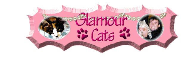 Calico Lee's Glamourcats