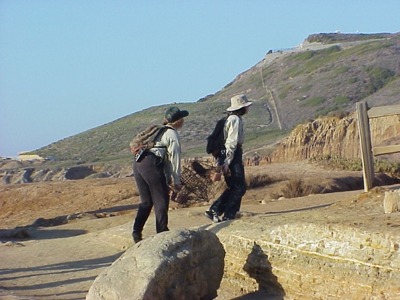 Two Tidepool Monitors