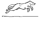 runwolf.gif (2981 bytes)
