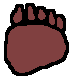 bear 
paw