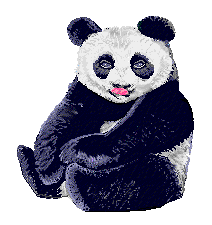  panda bear