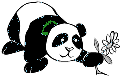  
panda bearw bow