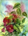 Bursting Spring, N. Dansie  1997, watercolor, image 5x7 $170 framed