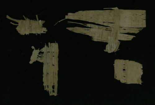 Demotic Papyrus fragments - Verso