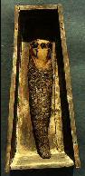 Falcon Mummy with coffin