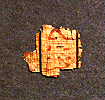 Hieroglyphic papyrus fragment