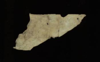 Arabic Parchment Fragment - Verso
