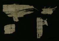 Assorted papyrus fragments with Demotic writing from a single document recovered from a cartonnage mummy mask.