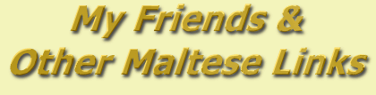 [My Friends and Other Maltese Links Banner]