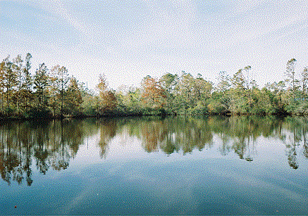 Small Mirror Like Calm Lake