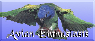Avian Enthusiasts Logo