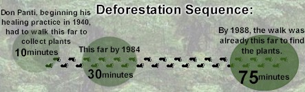 Deforestastion Sequence