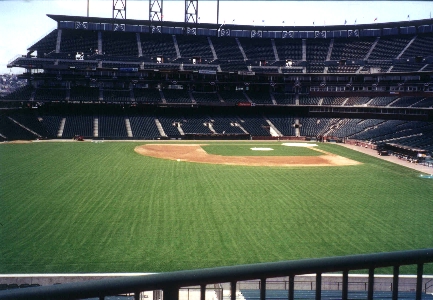 View from left field