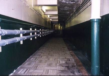 clubhouse-to-dugout tunnel