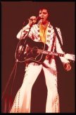 Learn the truth about Elvis here!