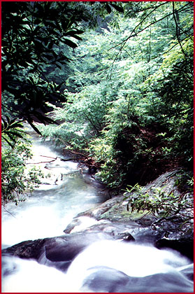 Dukes Creek at Raven Cliff, Georgia