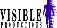 Visible Productions