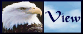 View The Bald Eagle GuestBook
