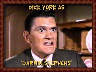 Dick York as Darrin Stephens