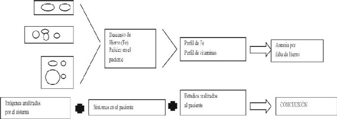 Diagrama a bloques del sistema