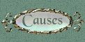 Causes