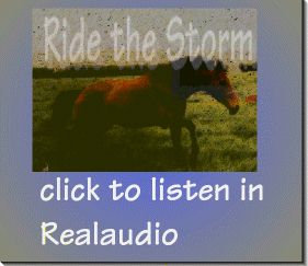 click here to listen to sondra faye reading ride the storm