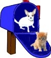 My mailbox