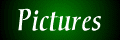 pictures