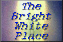 THE BRIGHT WHITE PLACE - Scully Abduction Arc Stories