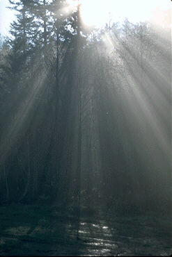 This image is copyright-free