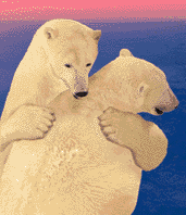 Bear hugs courtesy of Draac's Free Gifs