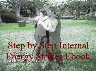 martial arts internal energy strikes ebook