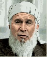 George W. Taliban