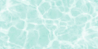 Click Here To See A Preview!
