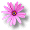 hnyflower1btn.gif (1483 bytes)