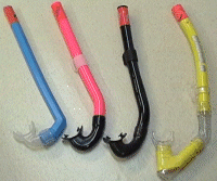 Erilaisia snorkkeleita