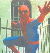 gate2.jpg (14636 bytes)