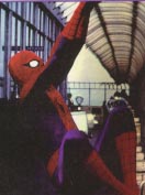 websht2.jpg (11254 bytes)