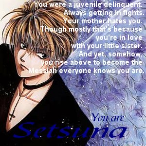 I am Setsuna ... wow, and I don't even HAVE a little sister! lol ;)