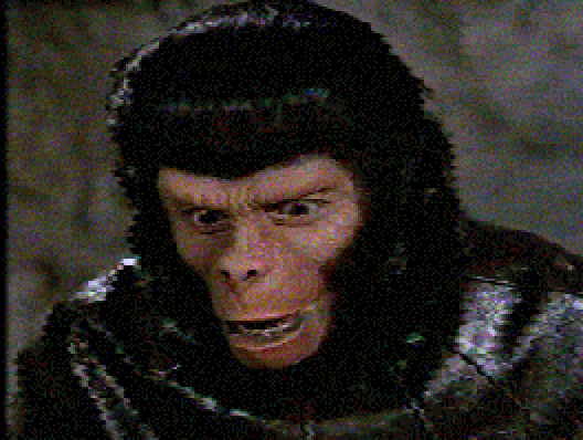 I should be studying, but instead I'm putting pictures of the Planet of the Apes up on my webpage... why?